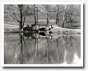 potter lake